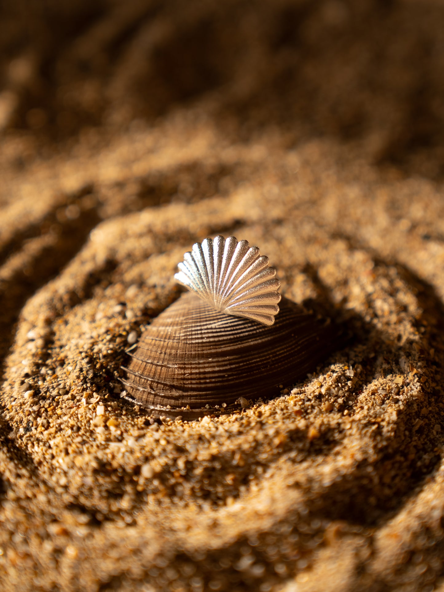Sea Shell Ring