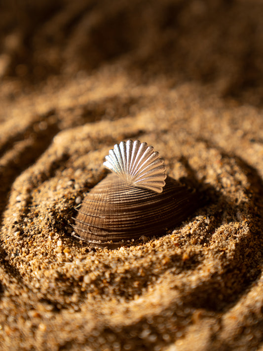 Sea Shell Ring