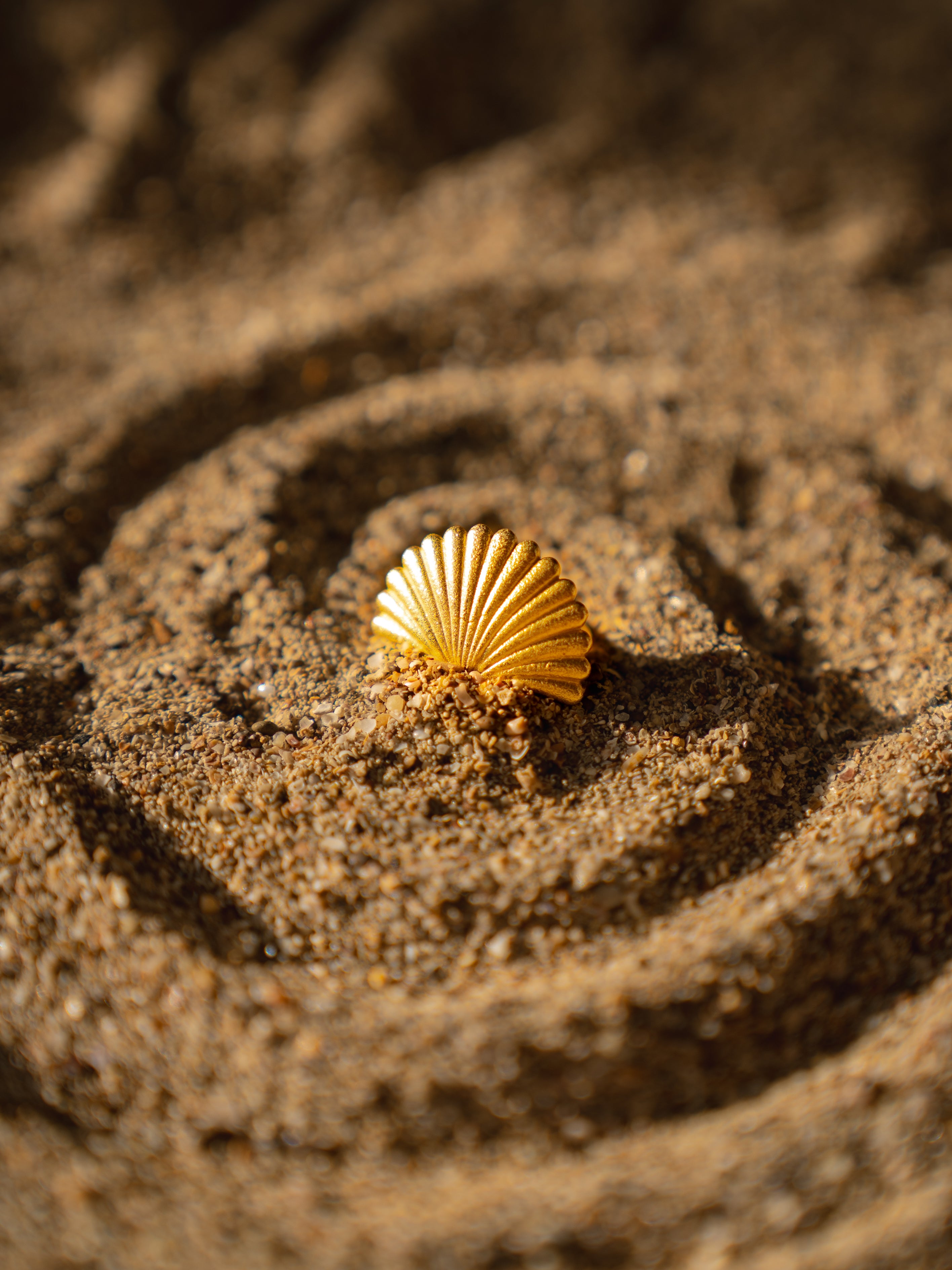 Sea Shell Ring – AarEm Jewellery
