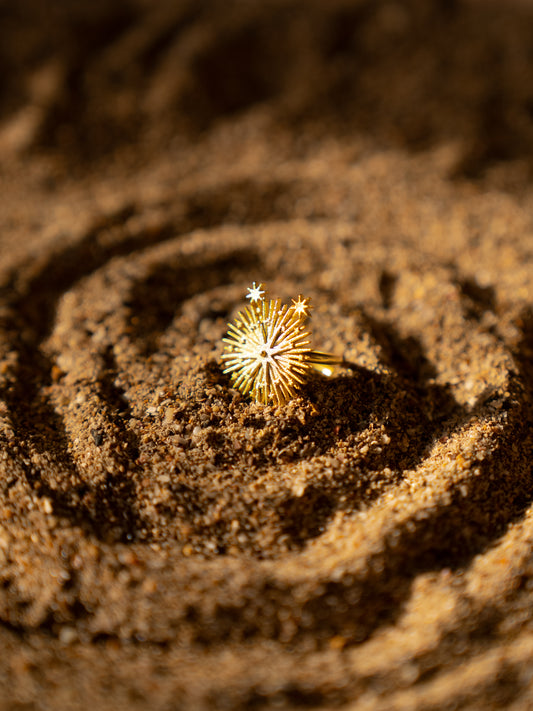 Starry Ring