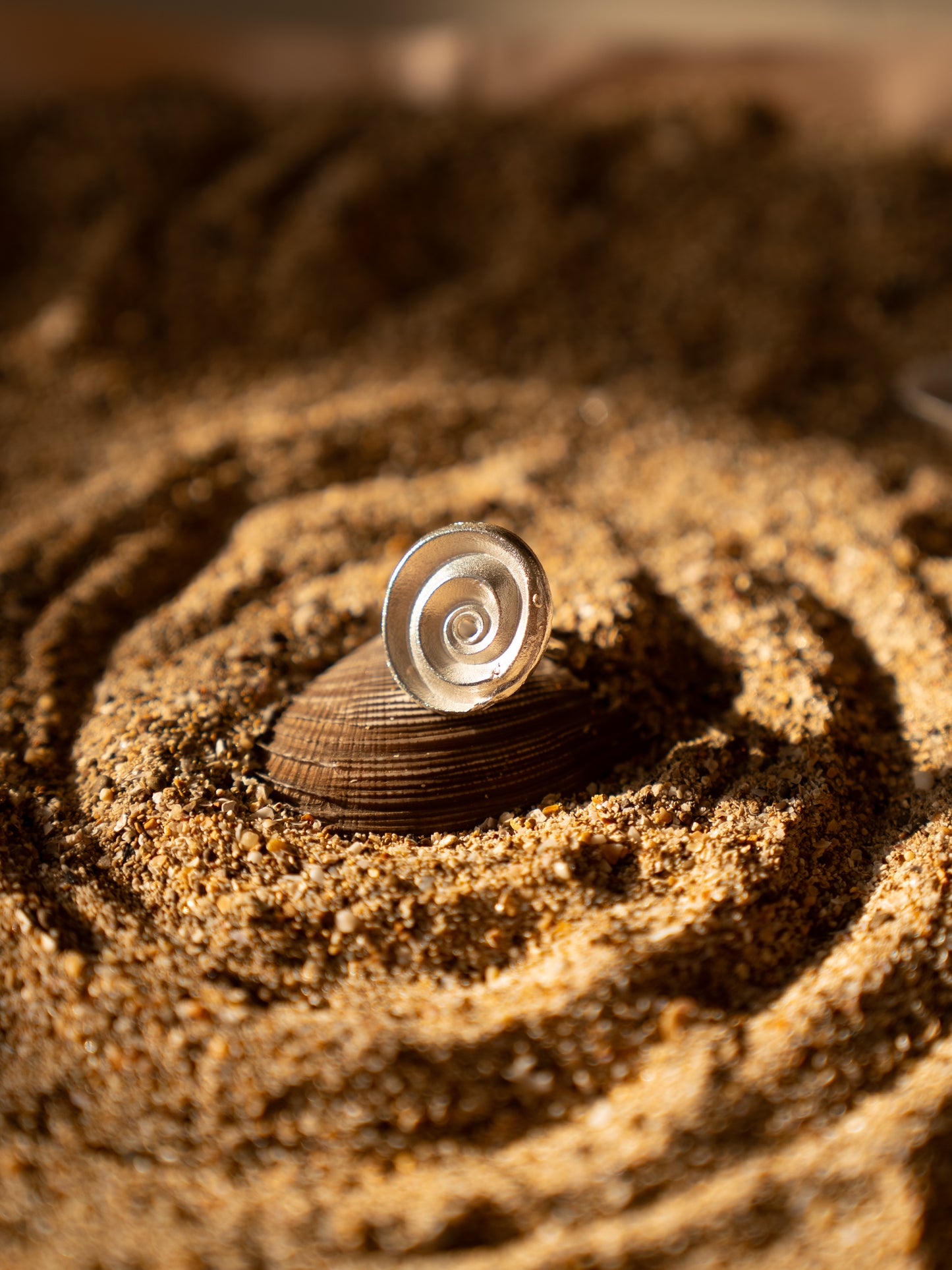 Snail Shell Ring